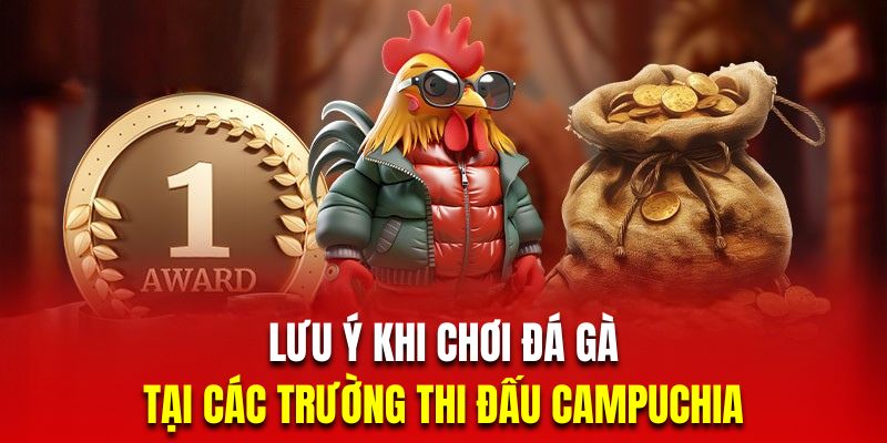 Lưu ý hội viên khi chọn trường chơi đá gà uy tín